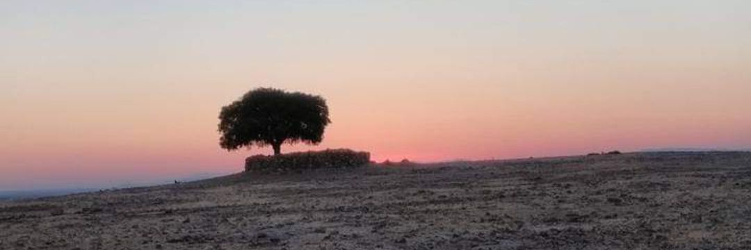 cel_al_maz's profile banner image
