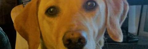 pamcho3's profile banner image