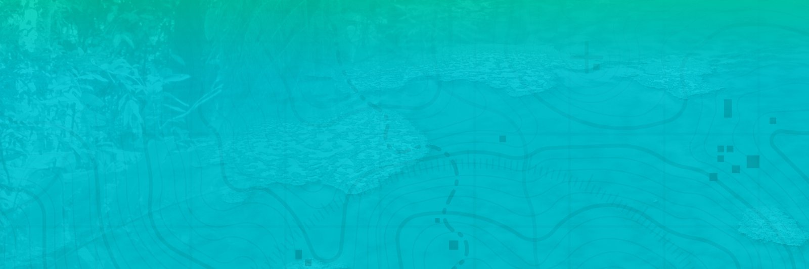 AURALITY banner