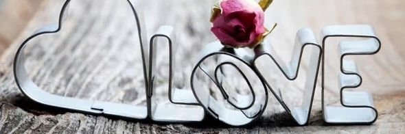 andreaa54718190's profile banner image