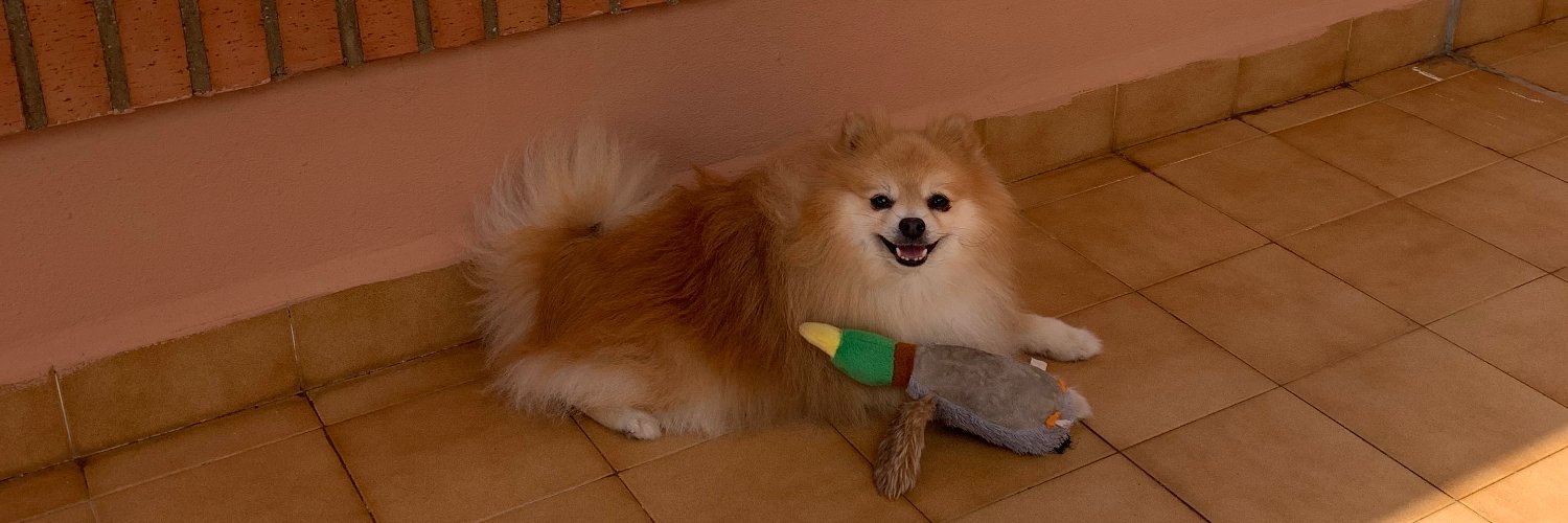 Francisco Javier Barrena - DogDeveloper banner