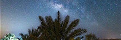 willoxSunPost's profile banner image