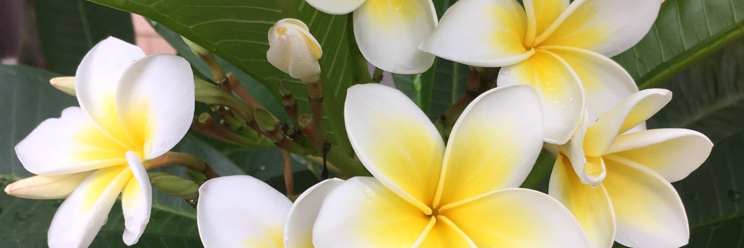 bondeyeview's profile banner image