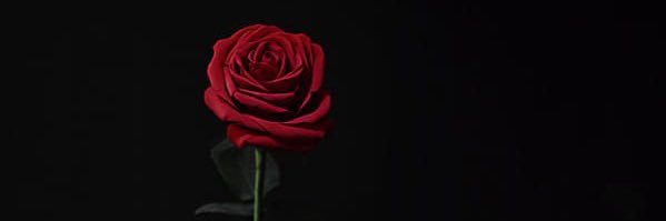 Soos_AT's profile banner image