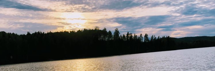 NyquistCarl's profile banner image
