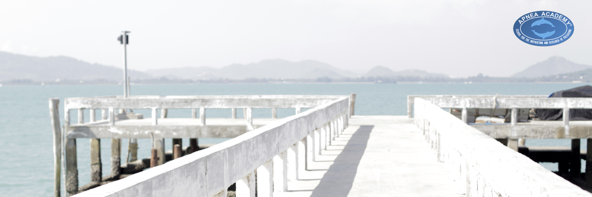 ApneaNep's profile banner image
