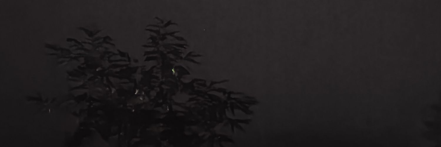 𝙽𝚊𝚓𝚒𝚑 banner