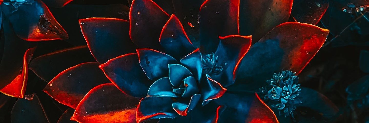 dityapart's profile banner image