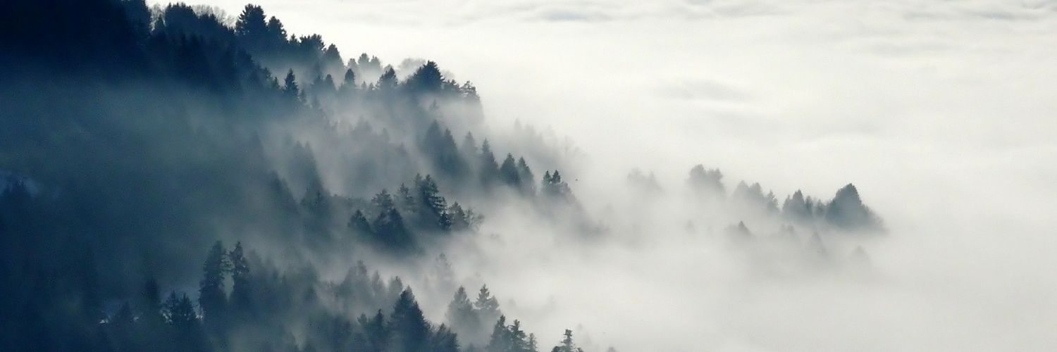 GrowPathways's profile banner image