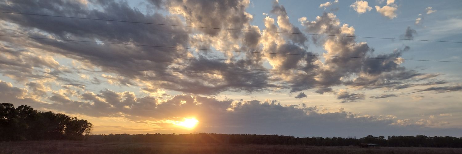 AlexGillespie77's profile banner image