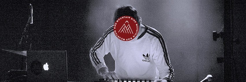 MountainBirdSwe's profile banner image