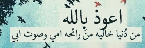 SuhaMQ's profile banner image