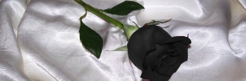 chichipea's profile banner image
