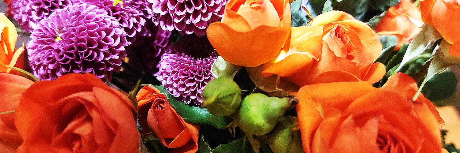 DenisePeillon's profile banner image