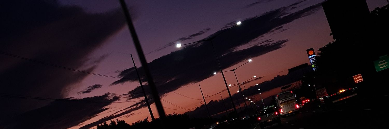 chicstllo's profile banner image