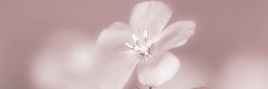 Tasha banner