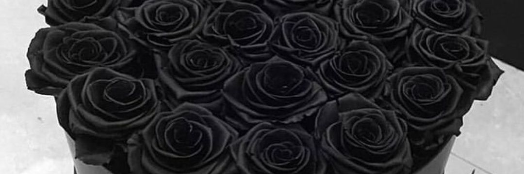 Rethabile_twin's profile banner image