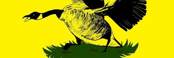 juil_yoon Profile Banner