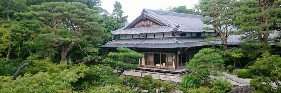 Dario Cavallone banner