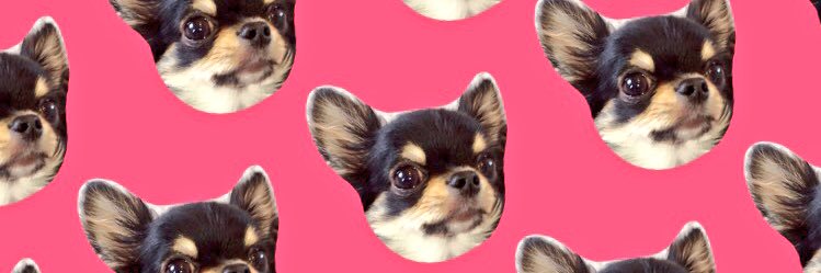 0805_tomo's profile banner image