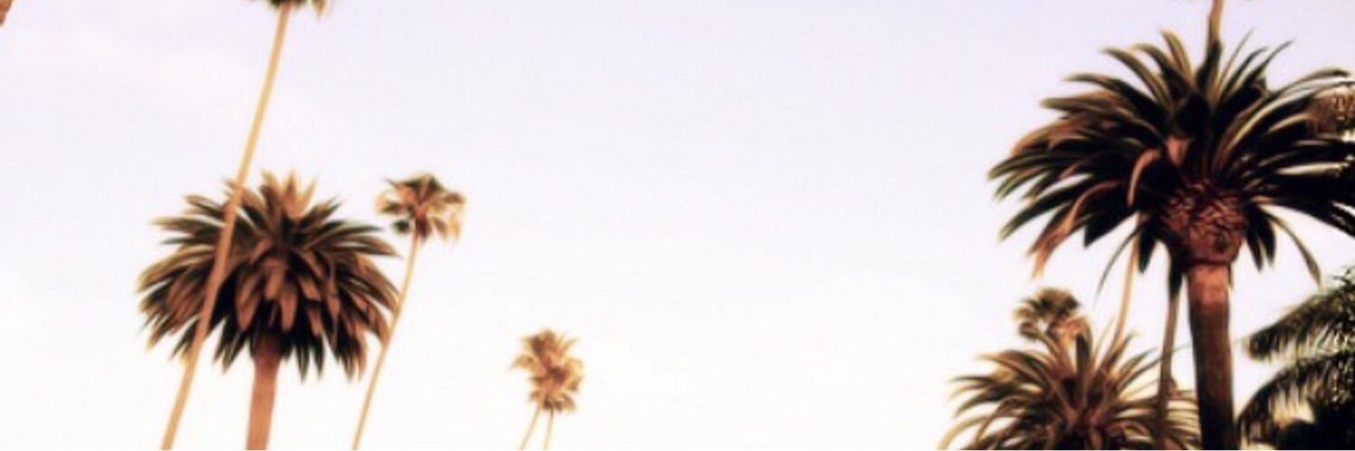 S banner