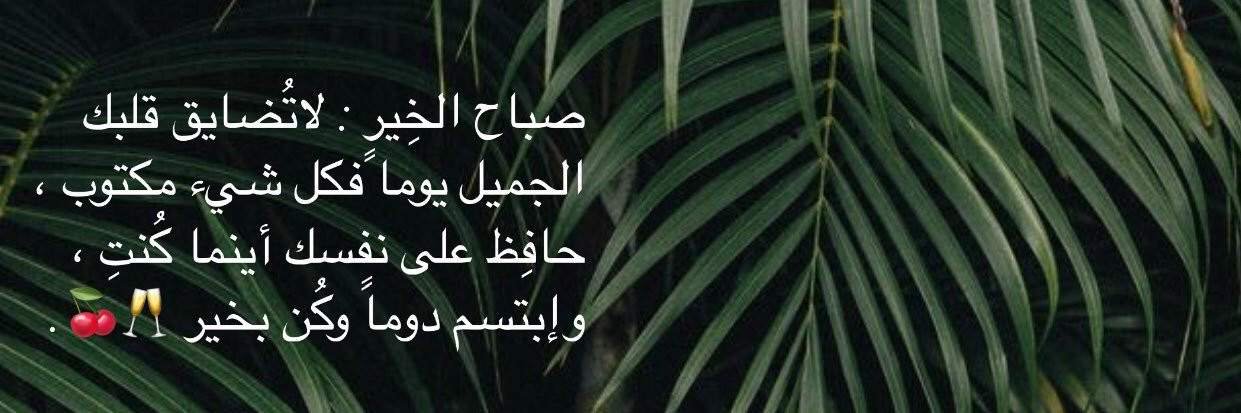 asmaa01018's profile banner image