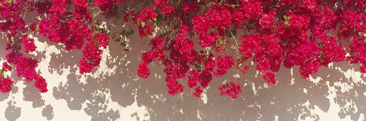 siauMei's profile banner image