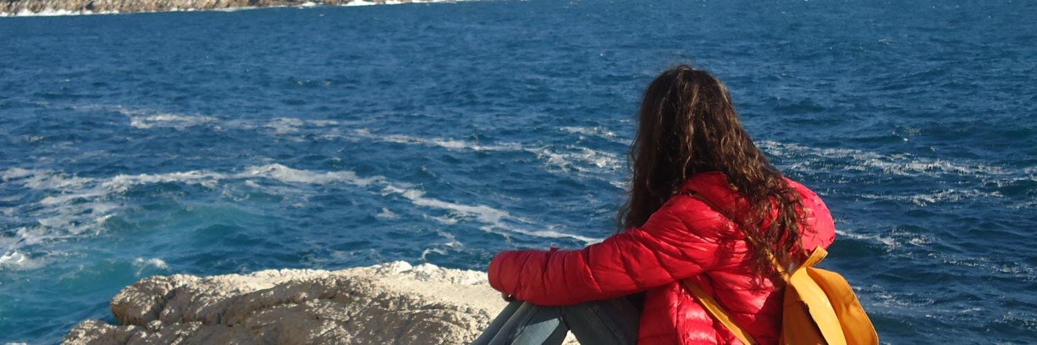 Alicia Fernández banner