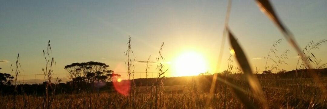 inexistenttruth's profile banner image