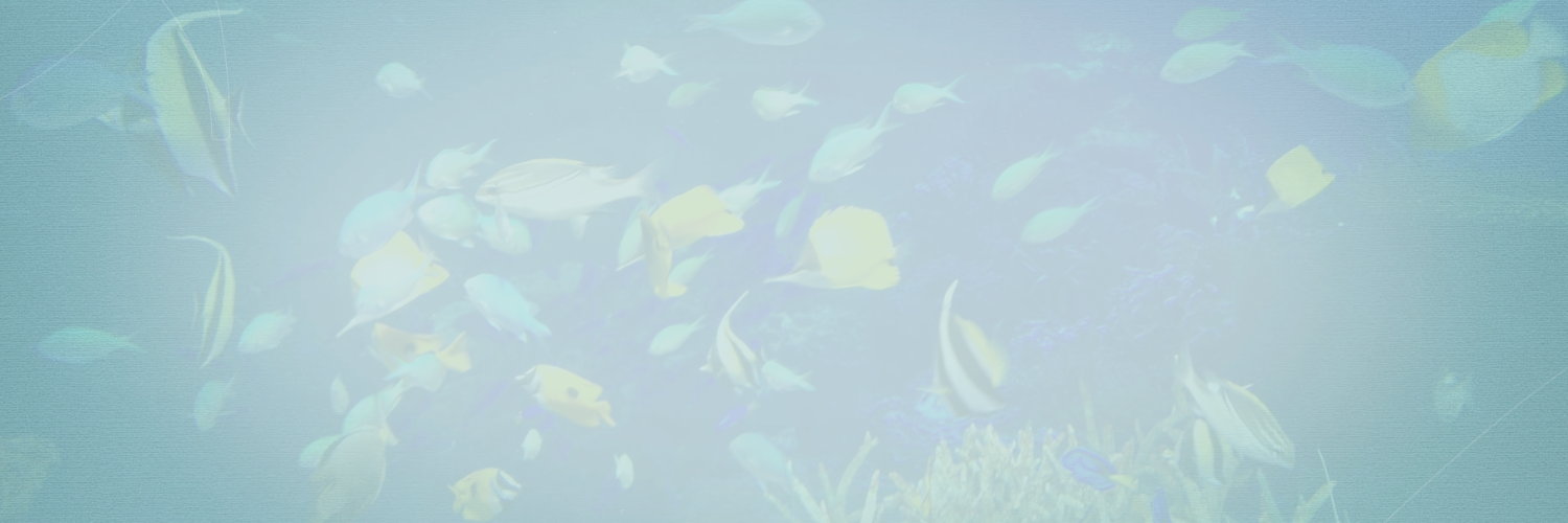 kurehaism's profile banner image