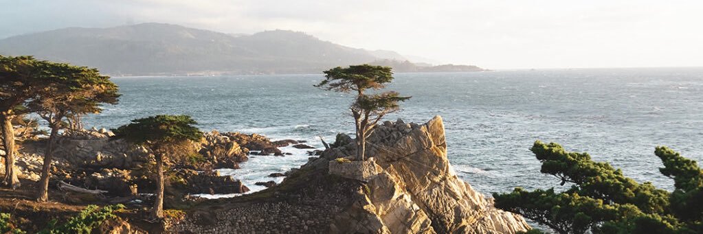 Chillrrrr's profile banner image