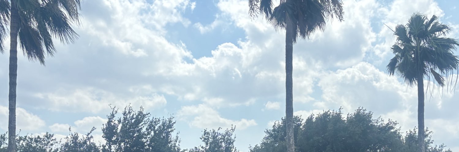 ysela__'s profile banner image