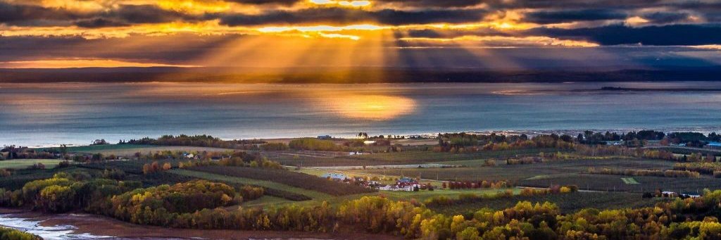 BevJBuchanan's profile banner image