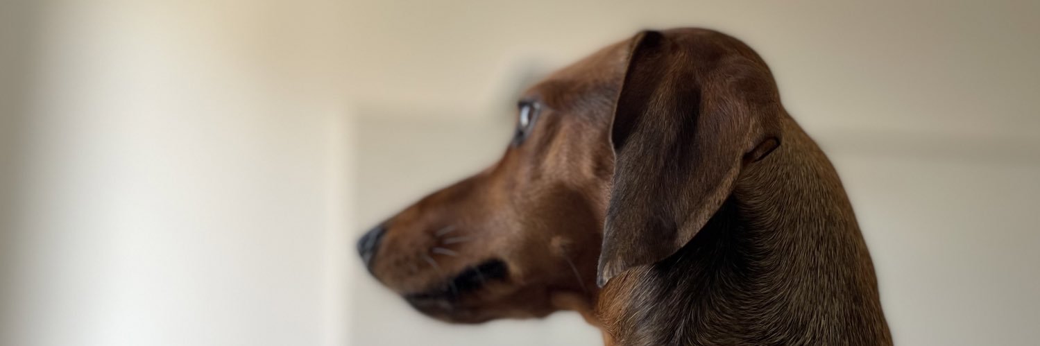 RennanBarcelos's profile banner image