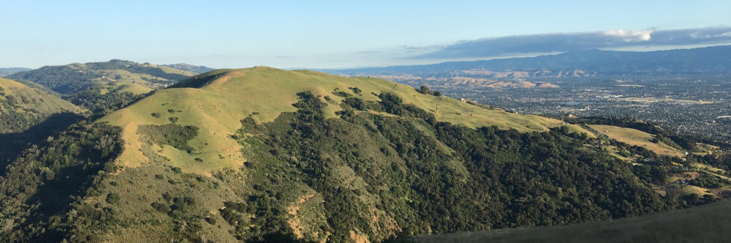 MRArrabelli's profile banner image