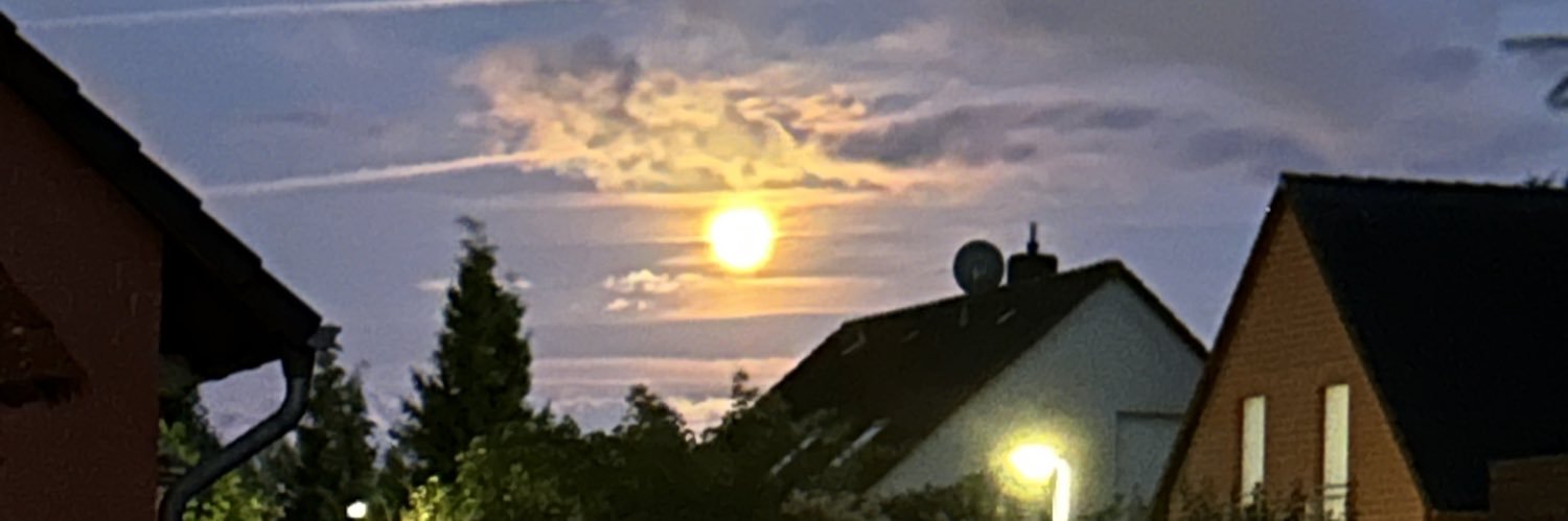 Bettinique banner