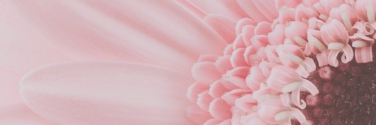 natalienixole's profile banner image