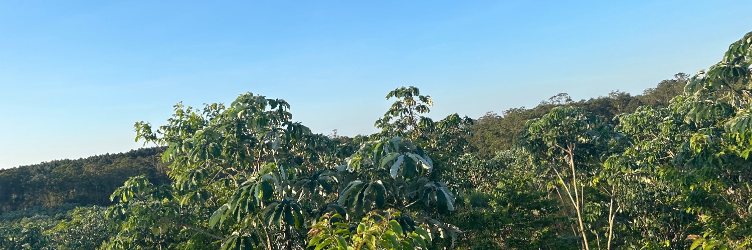 Daniel MN Poultney banner