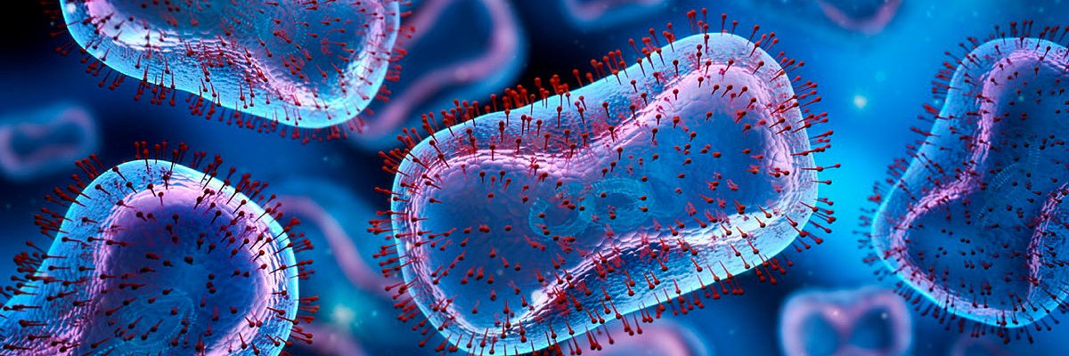 SpringerMicrobiology banner