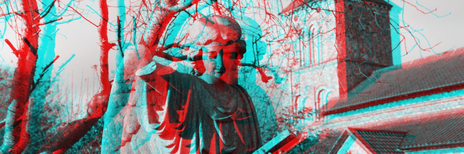lepetitroig's profile banner image