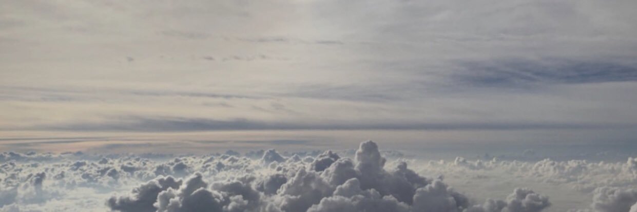 shelli_mcdaniel's profile banner image