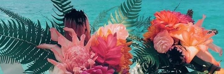 natapargo's profile banner image