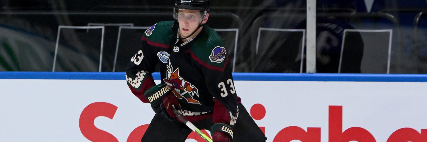 Travis Dermott banner