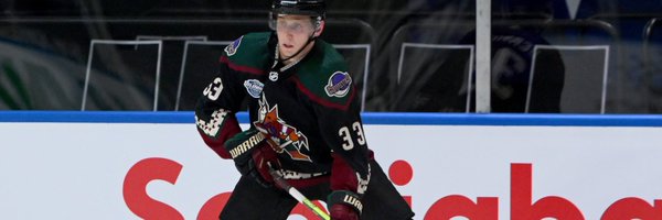 Travis_Dermott Profile Banner