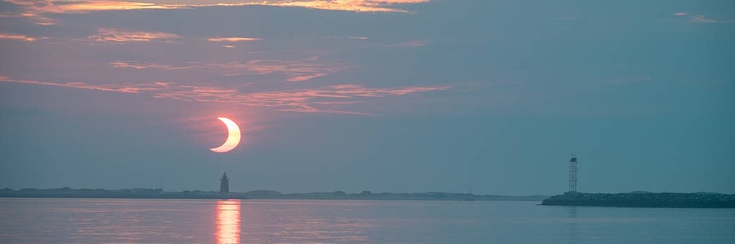 Margot Damaser, PhD banner