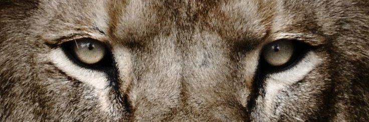 fadri2010's profile banner image