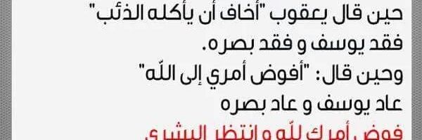 محمود طلب banner