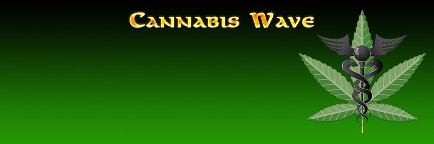 CannabisWave's profile banner image