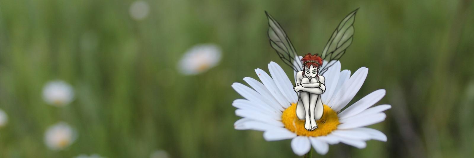 shaynation's profile banner image