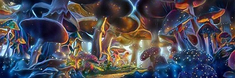 mr_orange25's profile banner image
